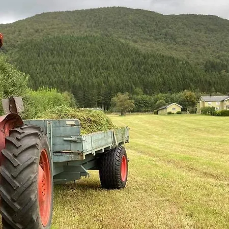 Lodger Rødseth Gårdsovernatting *